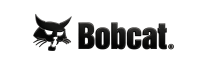 Bobcat