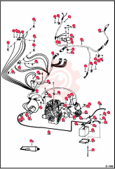 NUT 5 85D4 (1)