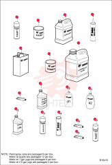 PAINT ORANGE SPRAY CAN 6