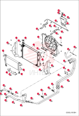 SHROUD, RADIATOR CENTER 7027847 (4)