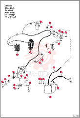 IGN COIL 2503976 (1)