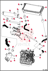 EXCHANGER, WATER RADIATOR 6685733 (1)