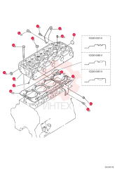 BOLT 6680662