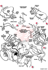 HARNESS