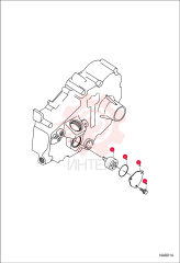 ROTOR, PUMP OIL 7030919