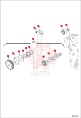 CAMSHAFT, FUEL 7259294