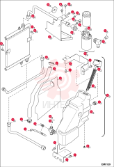 HOSE 7106586