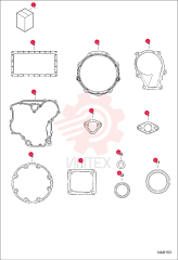 KIT, GASKET ENG LOWER 7029575 (2)