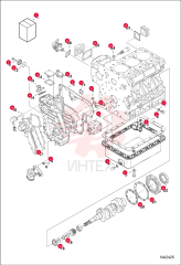 GASKET 6666786