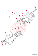 PUMP GEAR 7003806