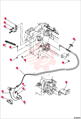 HOLDER