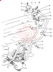 BOLT VA3173615601