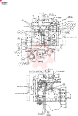 ELECTRICAL WIRING ASSY (N.A. & S.A.), QTY-F1: F1 24100J16964F10 (2)
