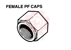 PLUG 2444Z2729D1