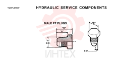 PLUG 2444Z2728D1