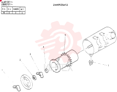 AIR CLEANER 2446R254F2