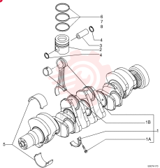CONNECTING ROD 2831298