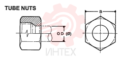 NUT ZF93N06000