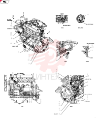 WIRE HARNESS PY16E01009P1