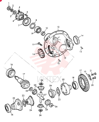 BUCKLE ZP1927445