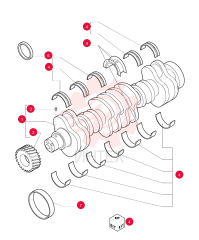 CRANKSHAFT 76192085