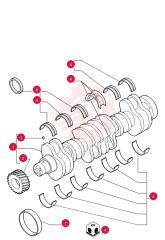 CRANKSHAFT 76192085