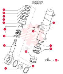 ARTICULATION 76066296