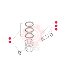 PISTON & RINGS KIT