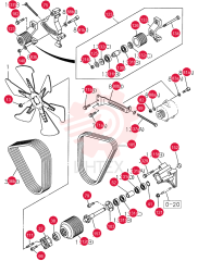 FAN 443709A1