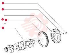 SCREW 75208362