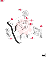 V-BELT,1710.00 mm L, 8 Ribs