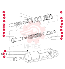 NUT 76018167