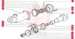 DOWEL