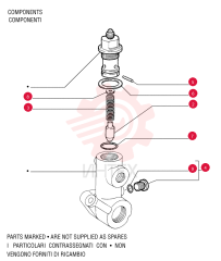 PLUNGER 79043954