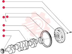 SCREW 75208362
