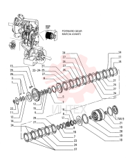 WASHER 76031148 (1)
