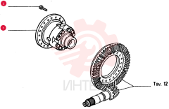 DIFFERENTIAL