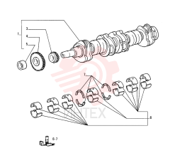 CRANKSHAFT 61318243