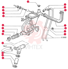 FLEXIBLE HOSE