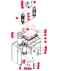 SPRING 568006802