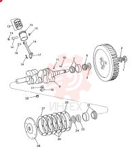 NUT 71319