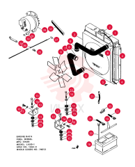 RADIATOR 798902