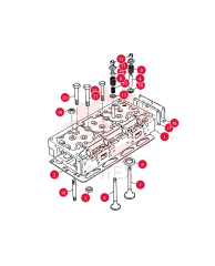 CYLINDER HEAD 505856