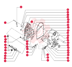 BOLT 75312822