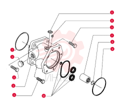 O-RING 75288503
