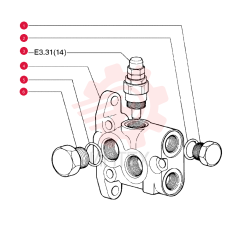 PLUG 75289608 (1)
