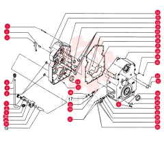 BOLT 75312822