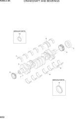 CRANKSHAFT AND BEARINGS
