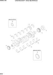 CRANKSHAFT AND BEARINGS