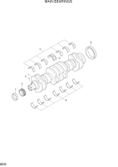 MAIN BEARINGS
